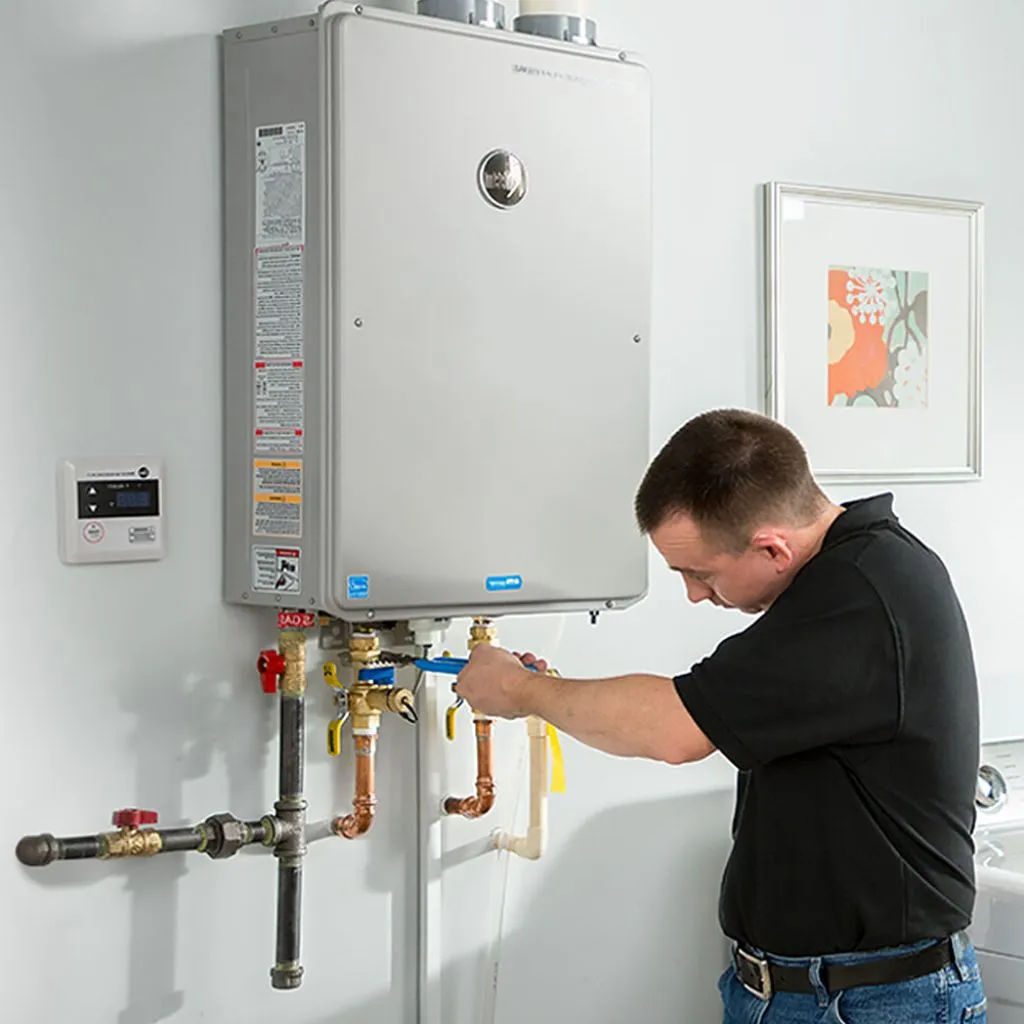 tankless water heater repair in Springview, NE